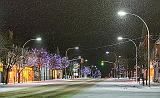 Snowy Beckwith Street_02563-70